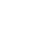 icon of a shield with a checkmark